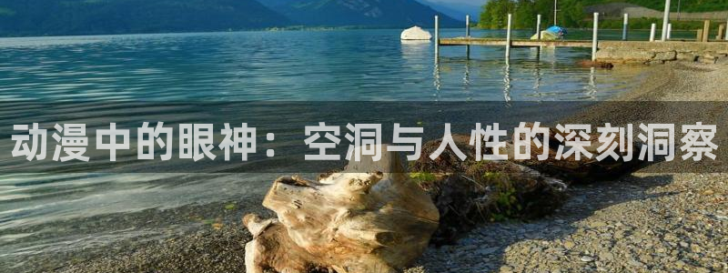 age动漫正版网：动漫中的眼神：空洞与人性的深刻洞察