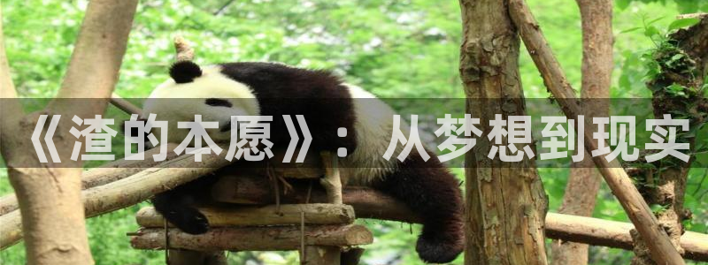 在线动画动漫下载age动漫：《渣的本愿》：从梦想到现实