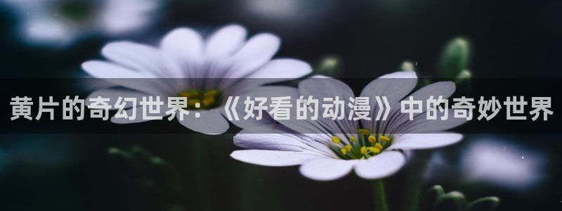 韩国漫画平台kakaopage：黄片的奇幻世界：《好看的动漫》中的奇妙世界