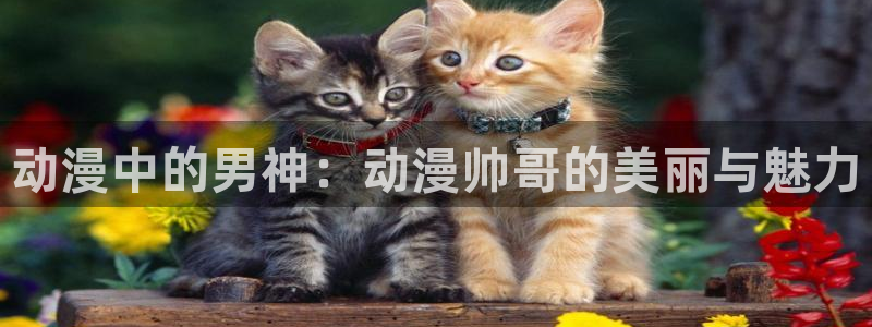 age动漫官网入口老版本