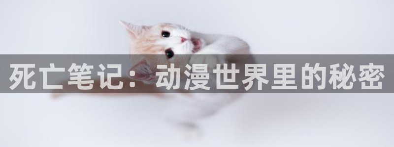 下载age动漫