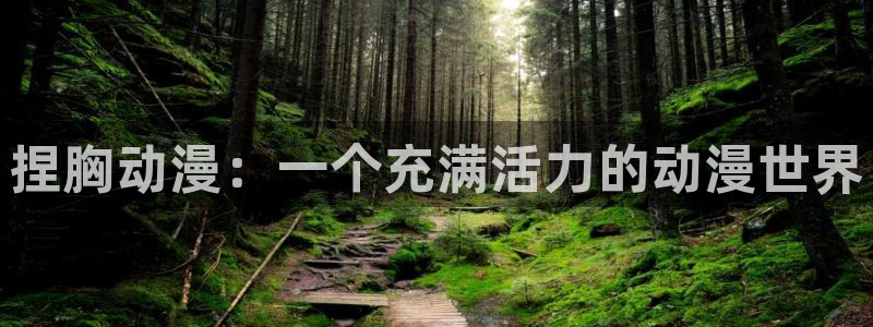 age动漫：捏胸动漫：一个充满活力的动漫世界