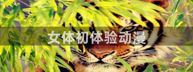 backstage韩漫免费观看