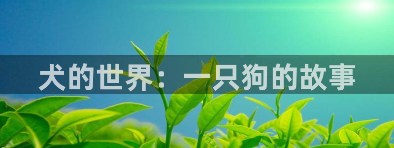 age动漫网下载