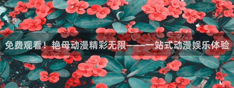 age动漫下载入口