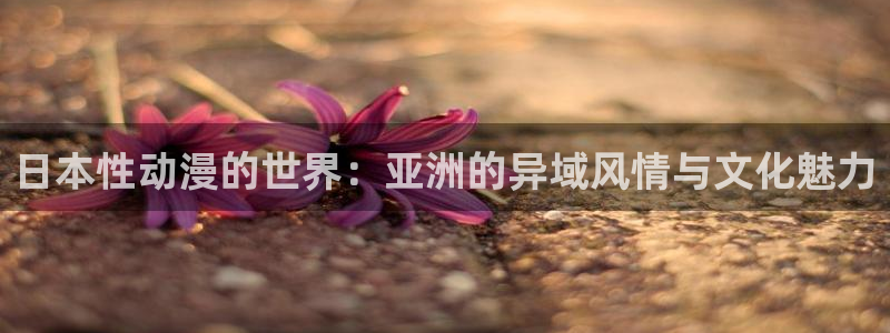 age动漫下载入口