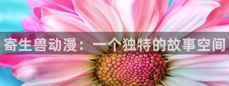拷贝漫画 copymanager.ory网站